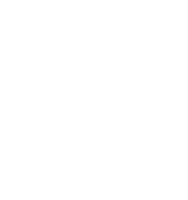 男女比率